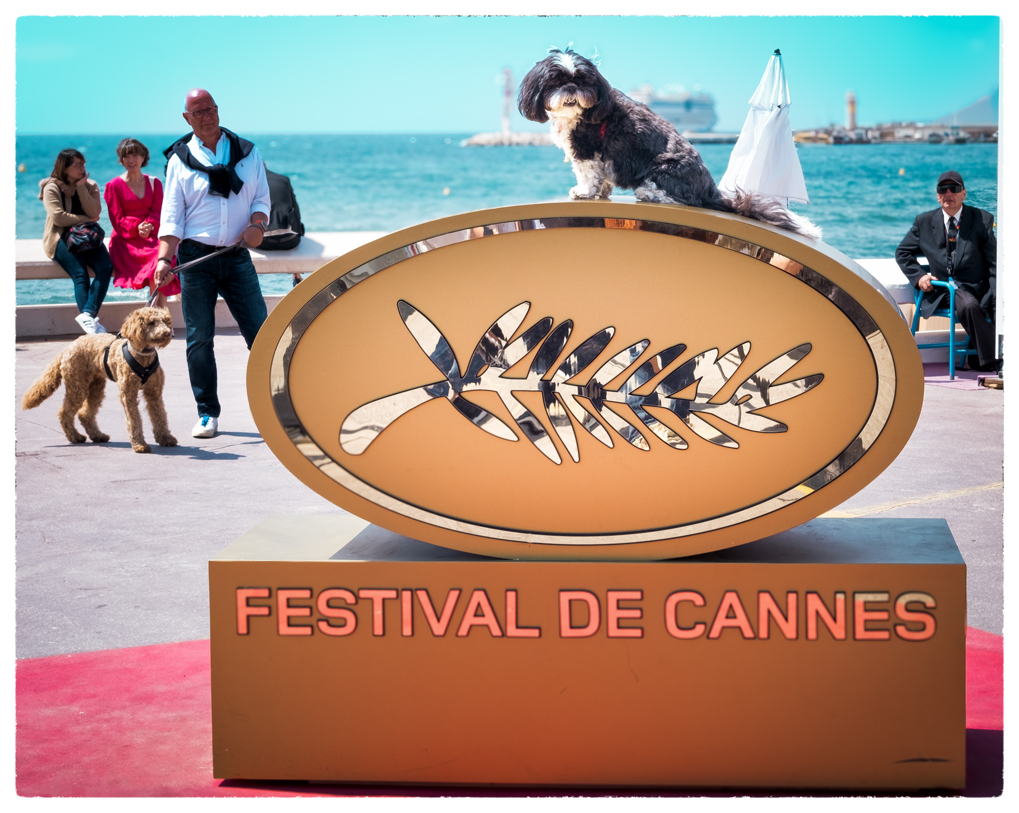 festival du film 1 1